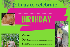Colourful-jungle-themed-kids-birthday-party-invitation_20250525_211410_0000