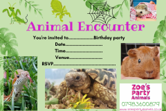 Copy-of-Watercolor-Childrens-Safari-Party-Birthday-Invitation-_20250525_205810_0000