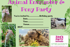 Copy-of-Watercolor-Childrens-Safari-Party-Birthday-Invitation-_20250525_215538_0000