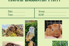 Green-Illustrative-Animal-Birthday-Party-Invitation_20250525_214824_0000